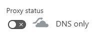 DNS only proxy status